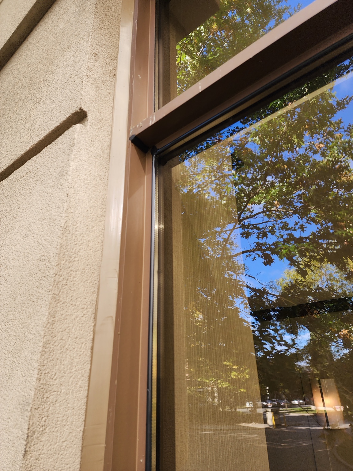 Window glazing and perimeter sealant